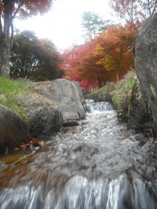 20141115泉から湧く水 (２)