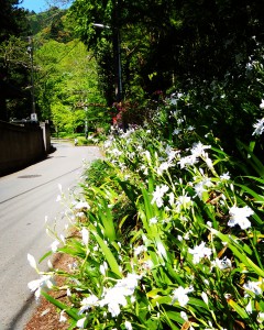 20160430本気で向き合ってくれた先生